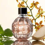 Jimmy Choo Eau de Parfum 100ml